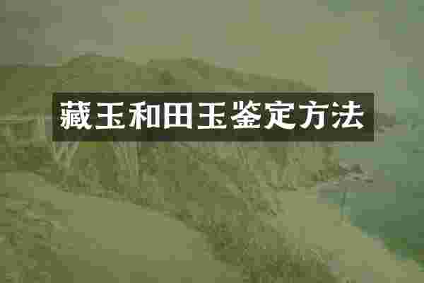 藏玉和田玉鉴定方法