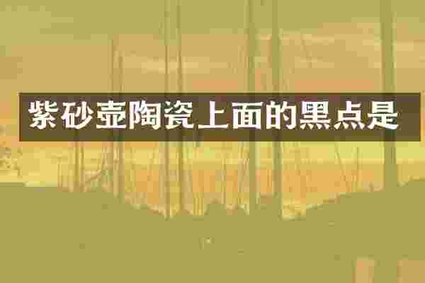 紫砂壶陶瓷上面的黑点是