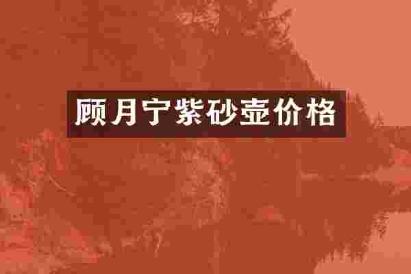 顾月宁紫砂壶价格