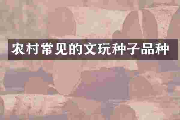 农村常见的文玩种子品种