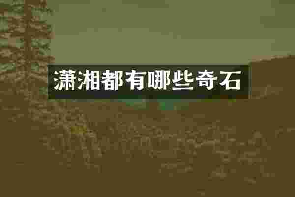 潇湘都有哪些奇石