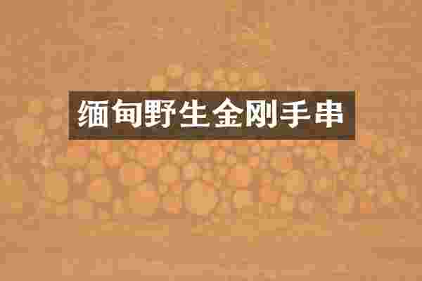 缅甸野生金刚手串