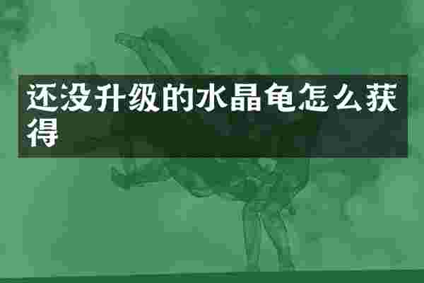 还没升级的水晶龟怎么获得