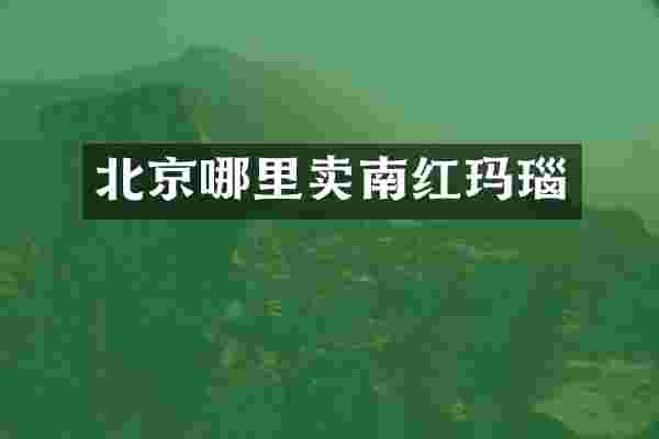 北京哪里卖南红玛瑙