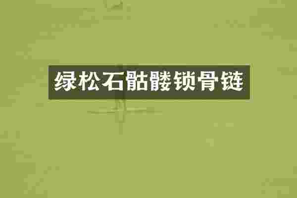 绿松石骷髅锁骨链