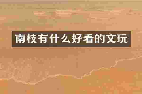 南枝有什么好看的文玩