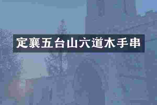定襄五台山六道木手串