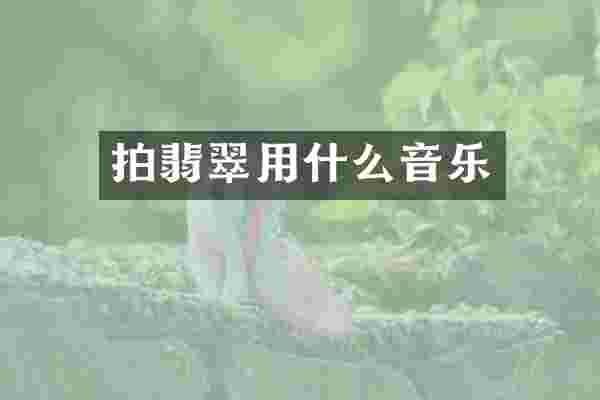 拍翡翠用什么音乐