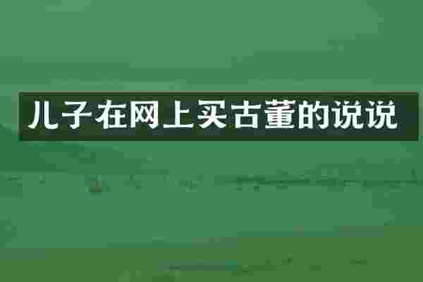 儿子在网上买古董的说说