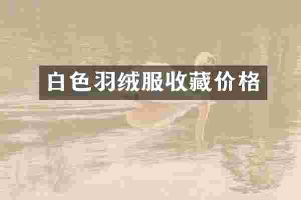 白色羽绒服收藏价格