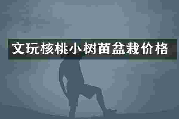 文玩核桃小树苗盆栽价格