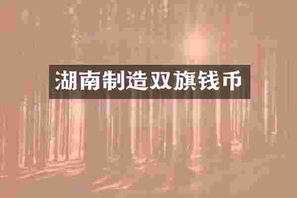湖南制造双旗钱币