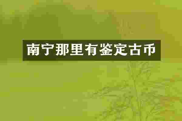 南宁那里有鉴定古币