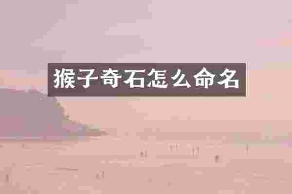 猴子奇石怎么命名