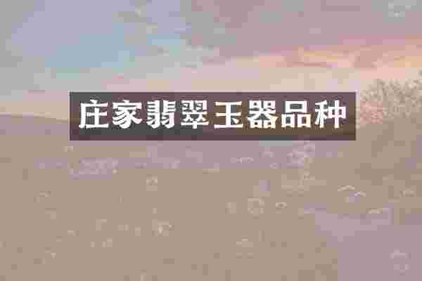 庄家翡翠玉器品种