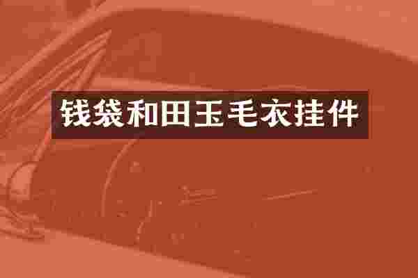 钱袋和田玉毛衣挂件