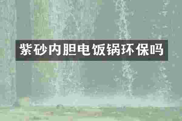 紫砂内胆电饭锅环保吗