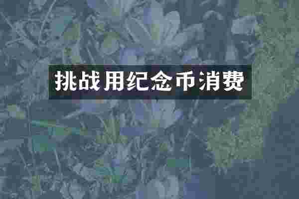 挑战用纪念币消费