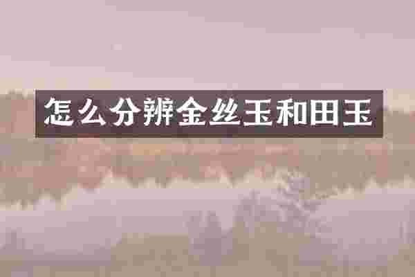 怎么分辨金丝玉和田玉
