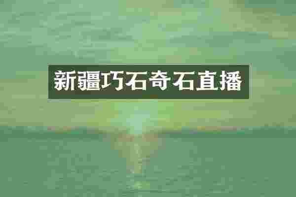 新疆巧石奇石直播