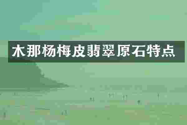 木那杨梅皮翡翠原石特点