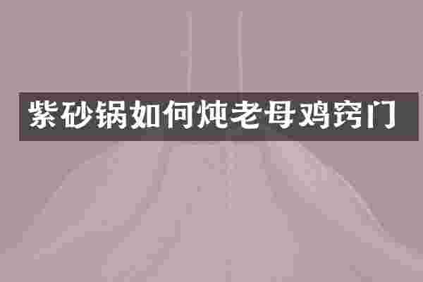 紫砂锅如何炖老母鸡窍门