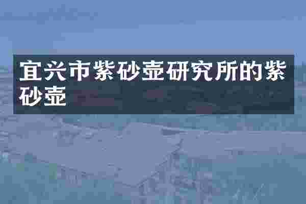 宜兴市紫砂壶研究所的紫砂壶