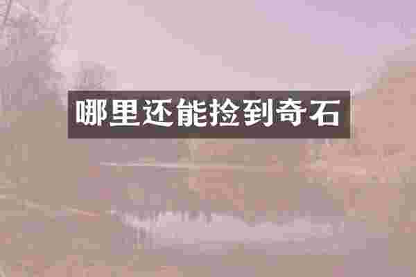 哪里还能捡到奇石