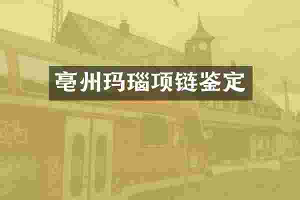 亳州玛瑙项链鉴定