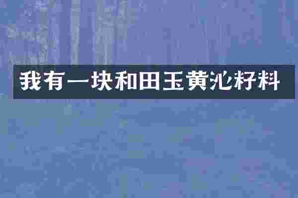我有一块和田玉黄沁籽料