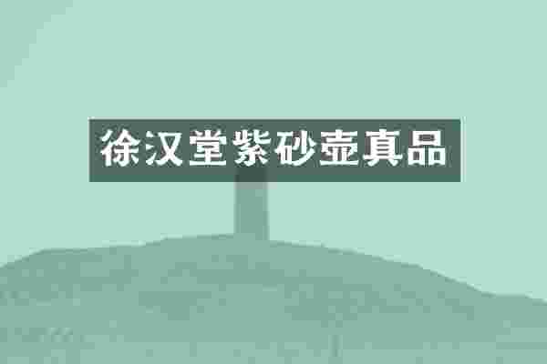 徐汉堂紫砂壶真品