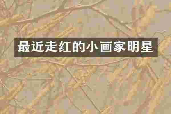 最近走红的小画家明星