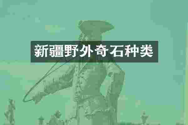 新疆野外奇石种类