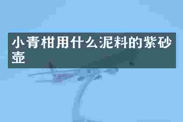 小青柑用什么泥料的紫砂壶