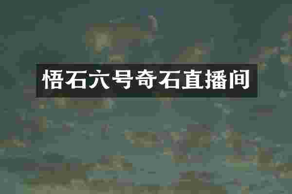 悟石六号奇石直播间