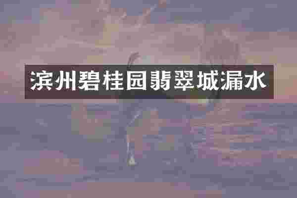 滨州碧桂园翡翠城漏水