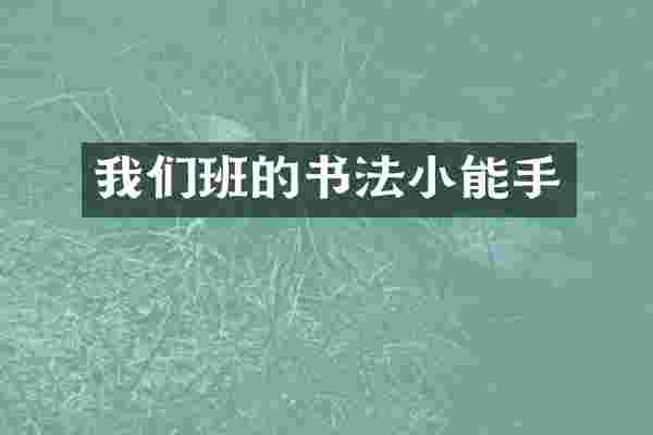 我们班的书法小能手