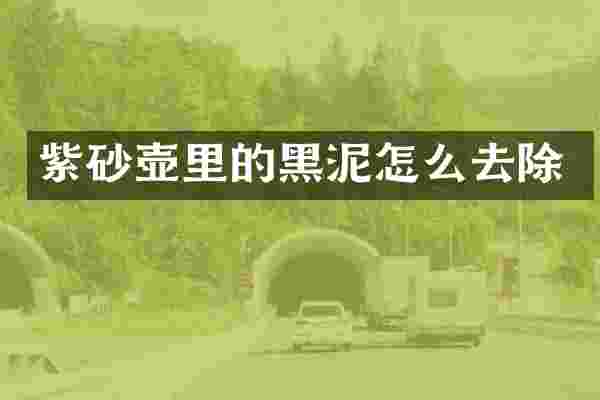 紫砂壶里的黑泥怎么去除