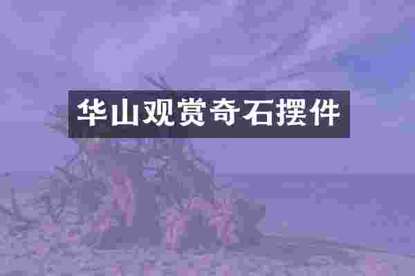 华山观赏奇石摆件