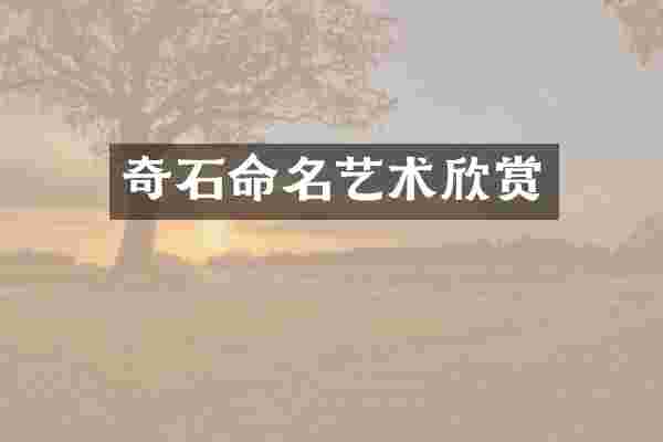 奇石命名艺术欣赏