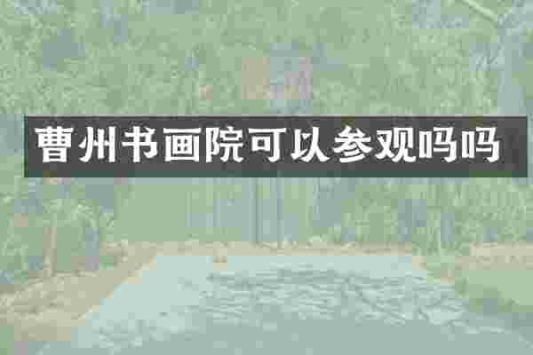 曹州书画院可以参观吗吗