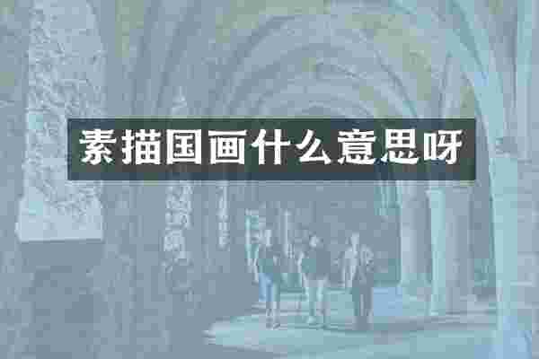 素描国画什么意思呀
