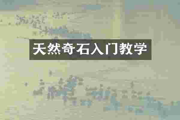 天然奇石入门教学