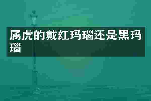 属虎的戴红玛瑙还是黑玛瑙