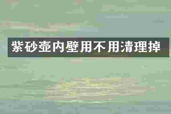 紫砂壶内壁用不用清理掉