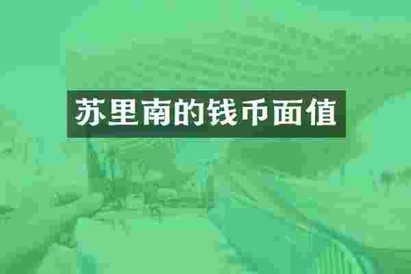 苏里南的钱币面值
