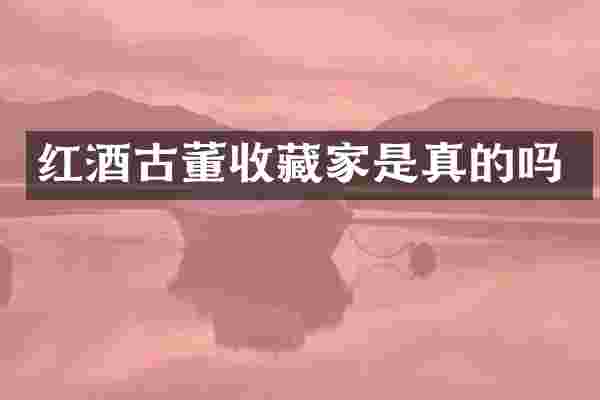 红酒古董收藏家是真的吗