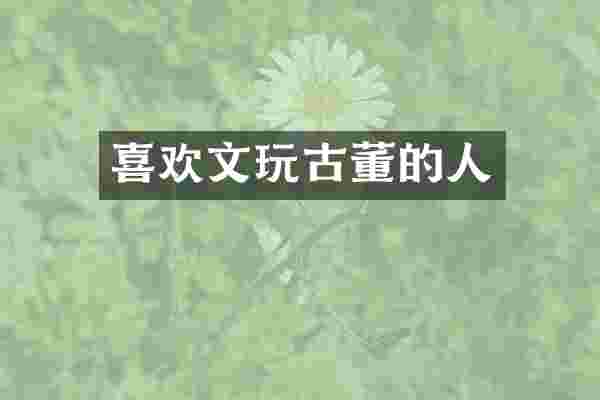 喜欢文玩古董的人