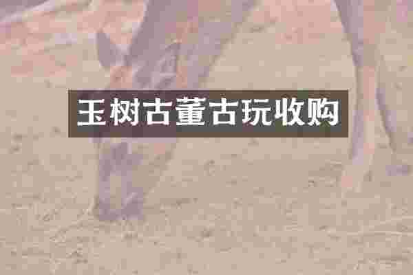 玉树古董古玩收购