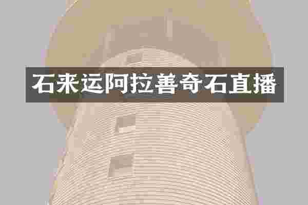 石来运阿拉善奇石直播